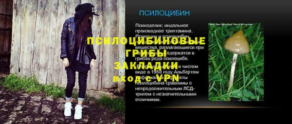 гидра Дмитриев