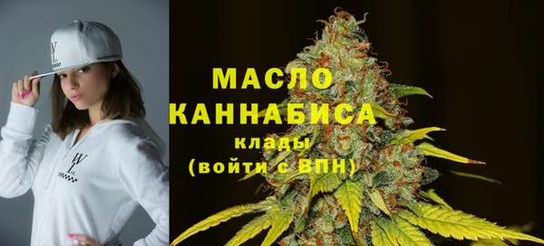 гидра Дмитриев