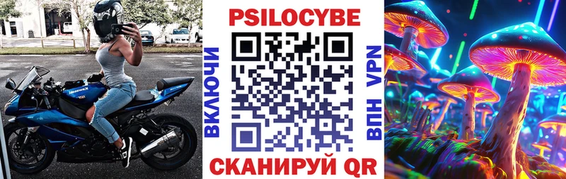 цены   Злынка  OMG зеркало  Псилоцибиновые грибы Cubensis 